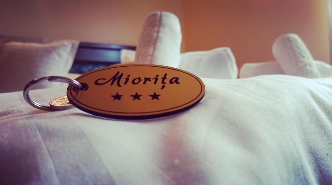 ホテル Restaurant Casa Miorita Buşteni エクステリア 写真